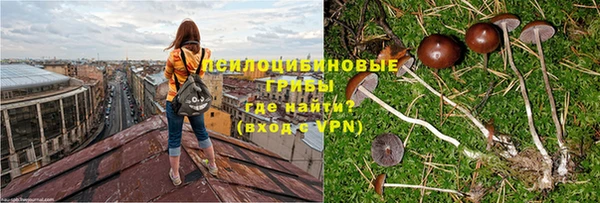 прущая мука Новодвинск