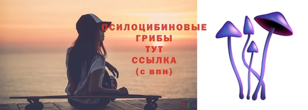 прущая мука Новодвинск