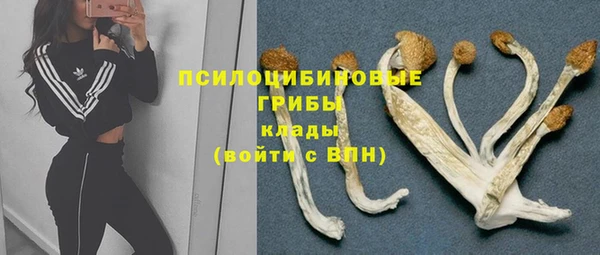 спиды Новозыбков