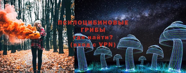 прущая мука Новодвинск